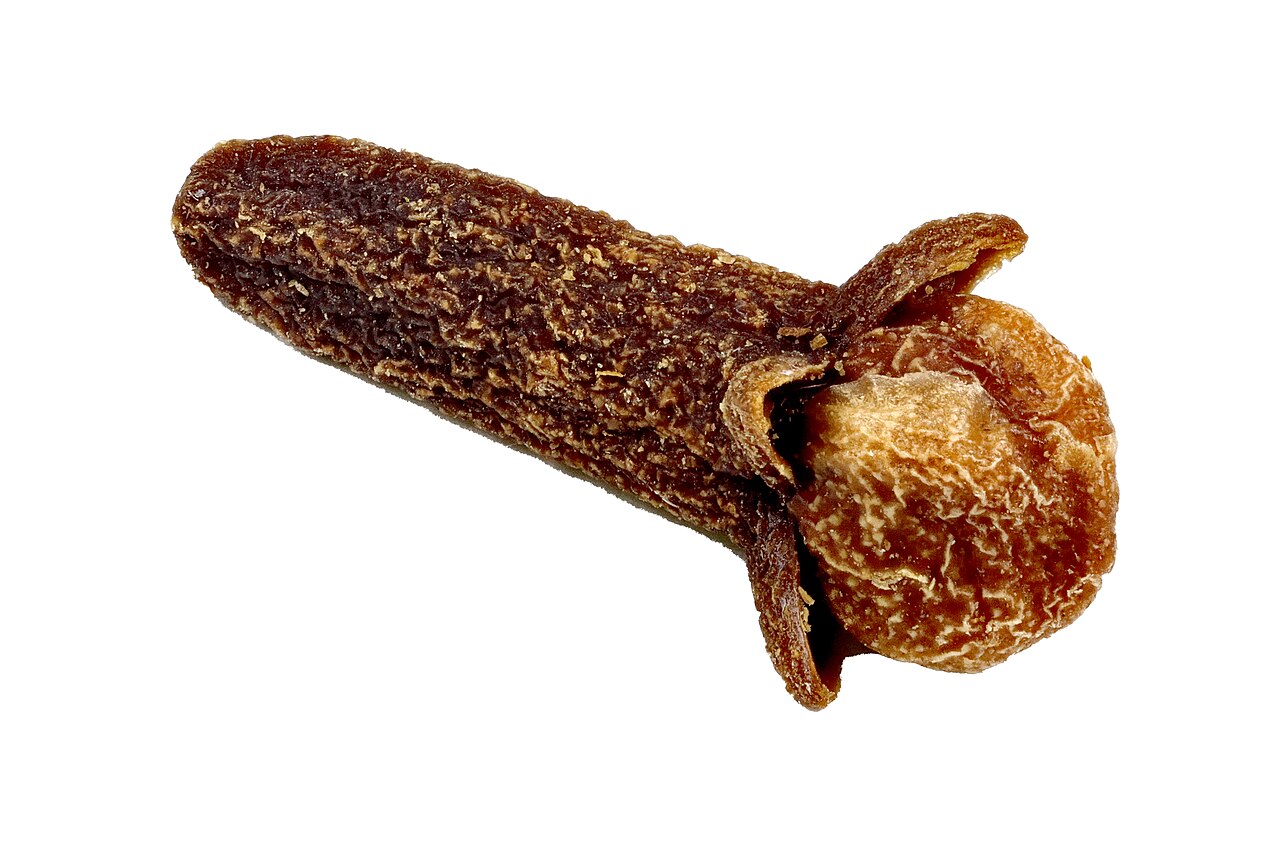 Clavo de olor, especia aromática